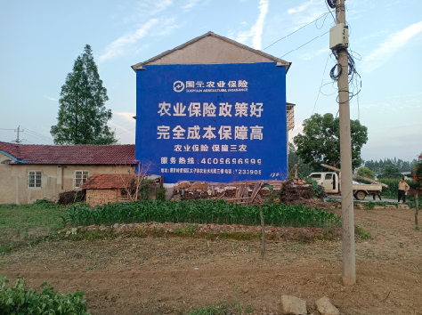 新宁墙体广告的优劣势你知道吗？